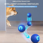 Smart USB Electric Bouncing Ball — Auto-Moving Toy for Cats & Dogs