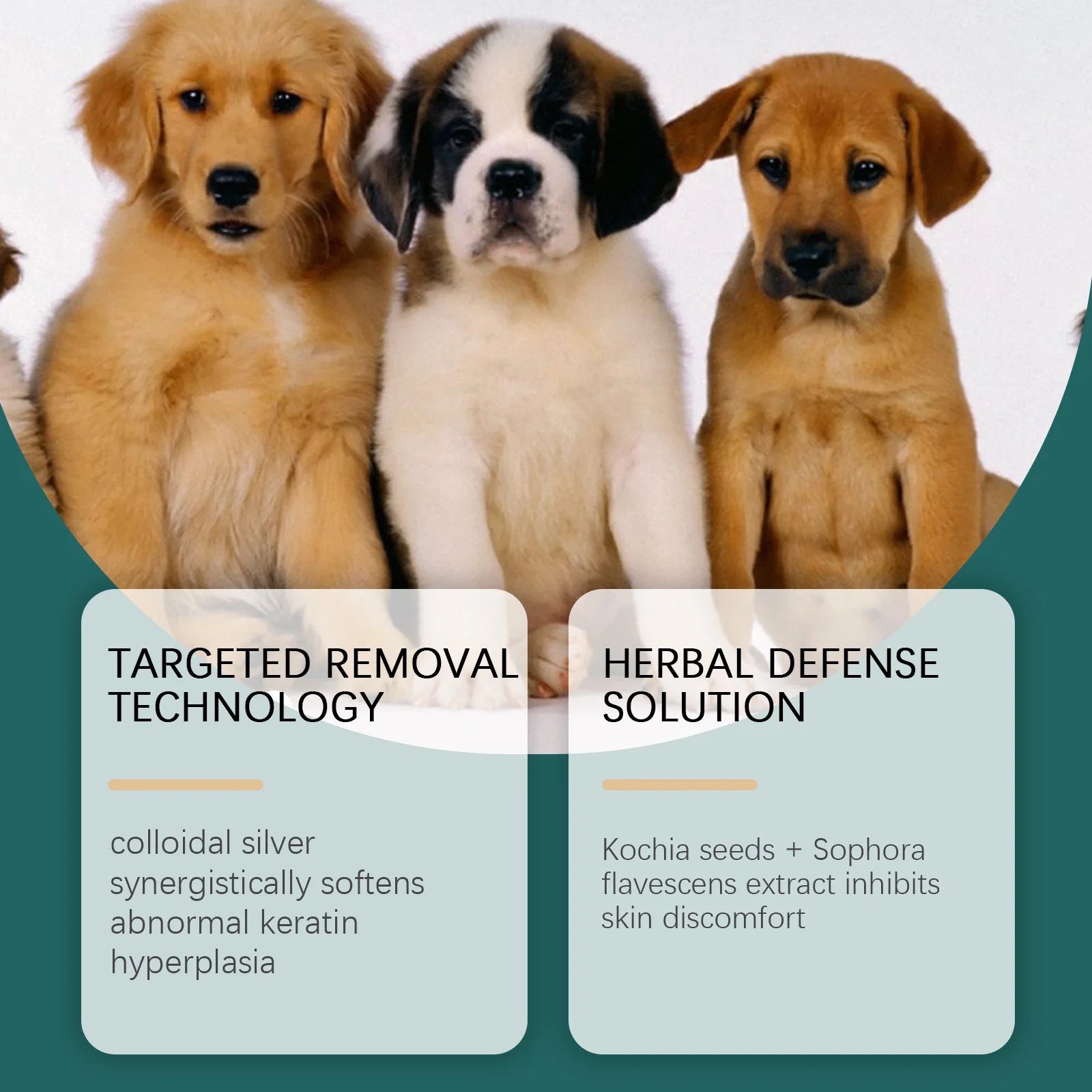 Flea & Tick Relief Drops for Cats — Fast-Acting Topical Treatment
