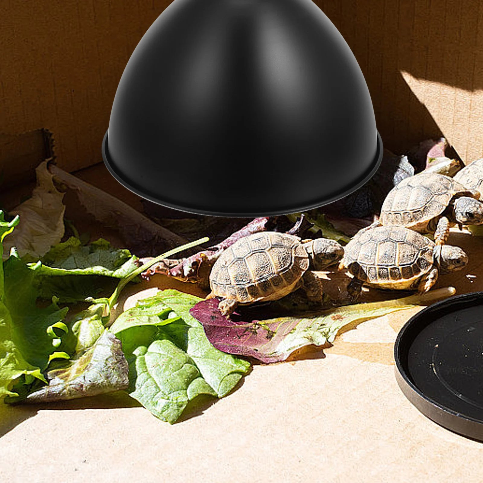 Iron Reptile Heat Lamp Dome — Reflector Shade for E27 Bulbs
