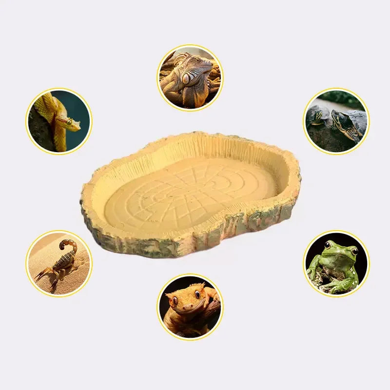 Resin Feeding Tray for Reptiles & Turtles — Odor-Free Food Bowl