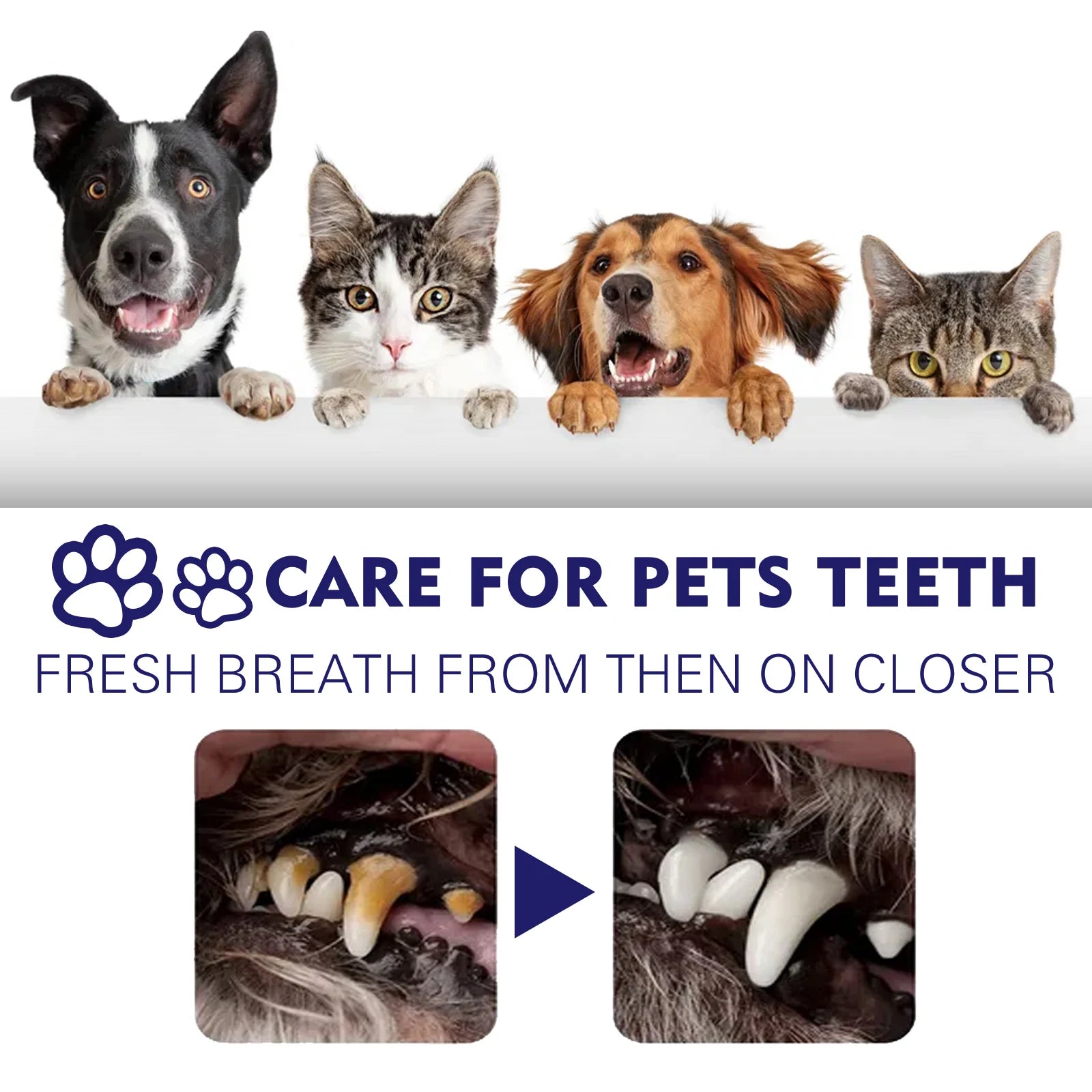V34 Hypoallergenic Pet Toothpaste — Gum Care & Fresh Breath Formula