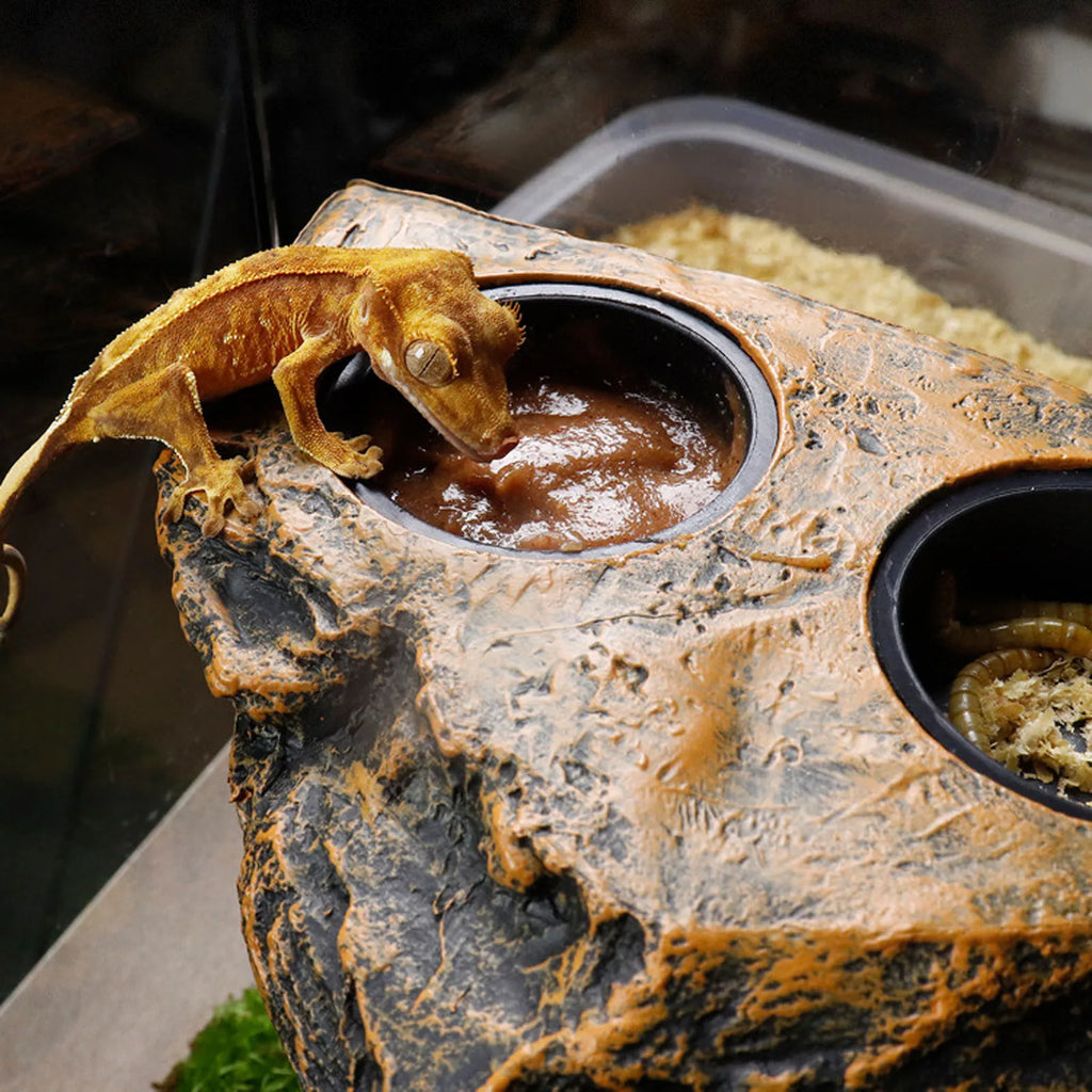 Magnetic Reptile Feeding Dish — Wall-Mount Food & Water Bowl for Geckos & Lizards