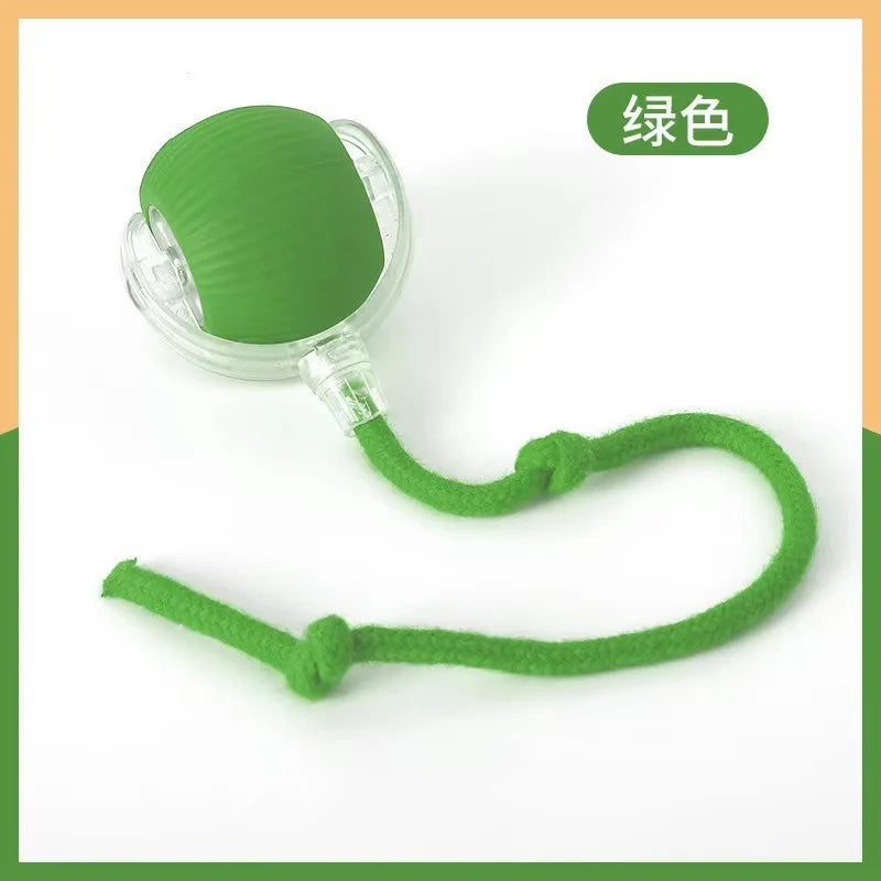 Electric Rolling Ball Toy — USB Rechargeable Auto-Move for Cats & Dogs