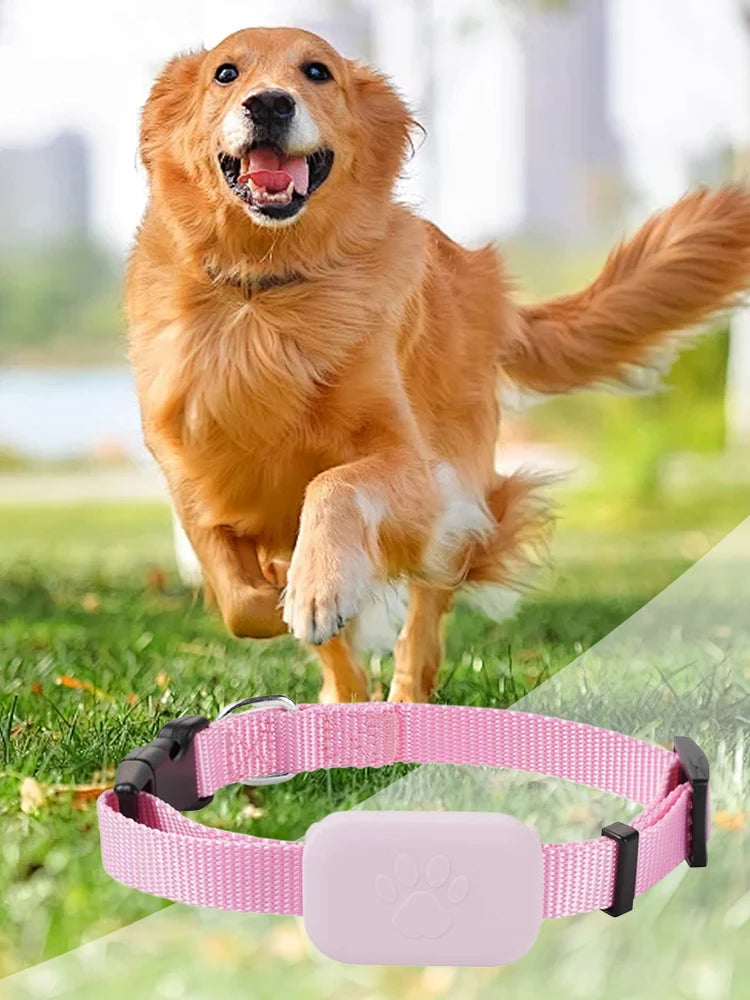 Long-Range GPS Tracker for Dogs & Cats with Adjustable Collar - Smart Remote