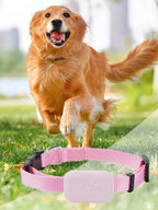 Long-Range GPS Tracker for Dogs & Cats with Adjustable Collar - Smart Remote