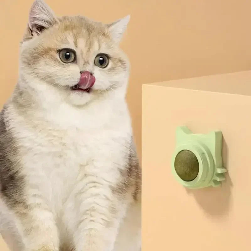 Catnip Ball Cat Treats