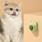 Catnip Ball Cat Treats