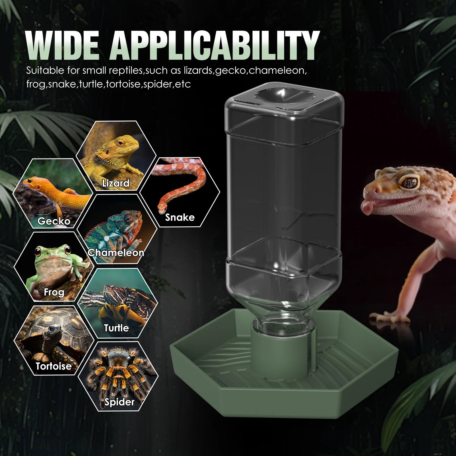 Reptile Water Dish — Sturdy Plastic Bowl for Bearded Dragons & Tortoises