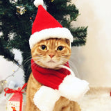 Christmas Pet Costume Set (Santa Hat & Scarf, Adjustable)