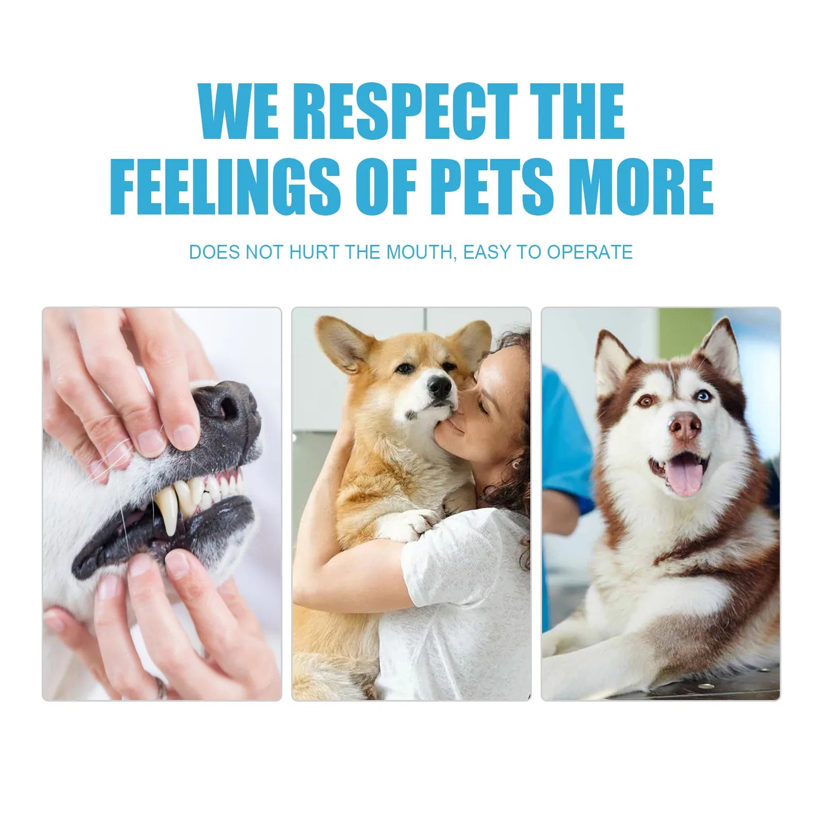 Edible Pet Toothpaste — Removes Tartar & Freshens Breath for Dogs & Cats