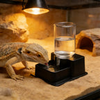 Detachable Reptile Water & Feeding Dish — Compact ABS Bowl for Tanks