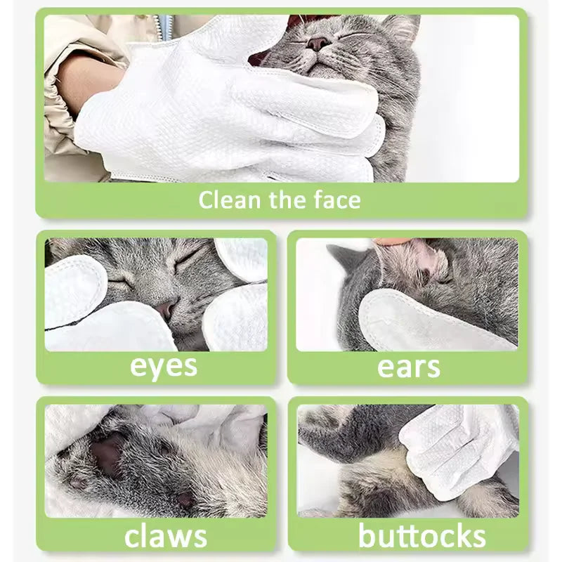 No-Rinse Pet Cleaning Wipe Gloves — Deodorizing Dry Cleaning, 6pcs