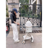 Portable Folding Travel Pet Stroller
