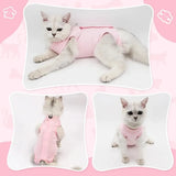 Cat Surgery Recovery Suit
