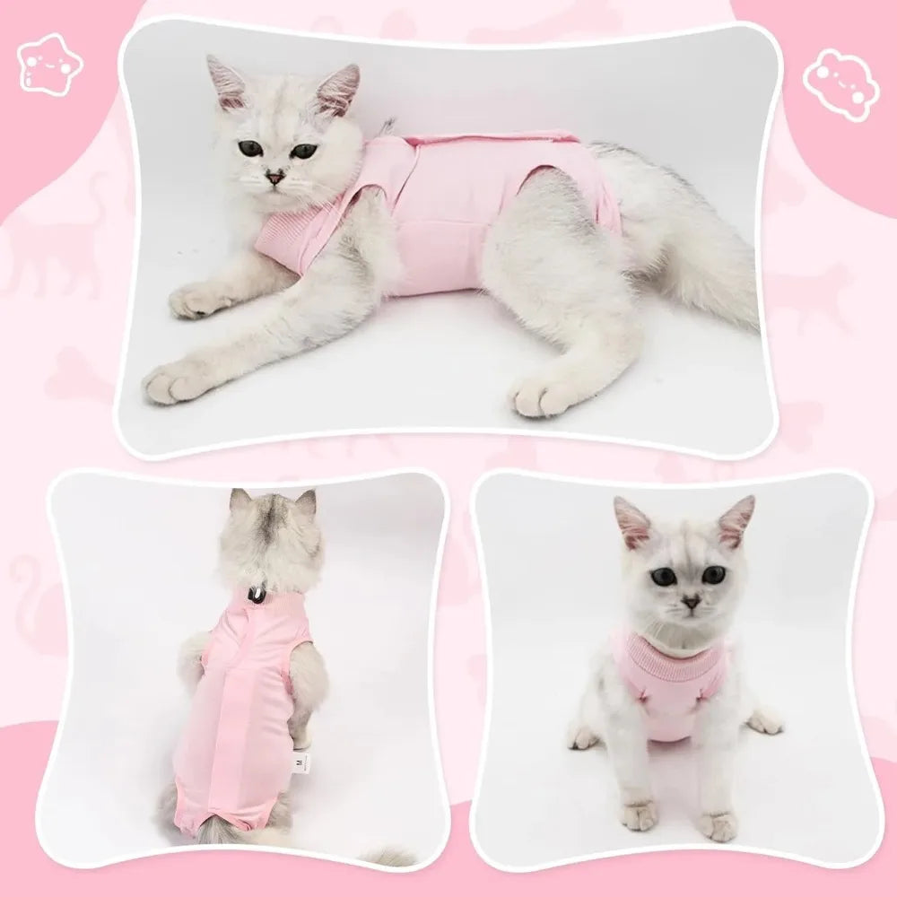 Cat Surgery Recovery Suit