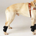 Soft Pet Knee Brace 2-Pack (Thermal, Adjustable, Joint Recovery, Breathable)