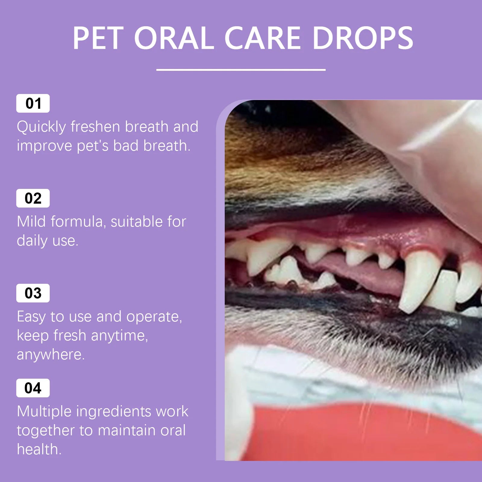 Pet Oral Cleanse Spray — No-Brush Teeth & Breath Formula, 50ml