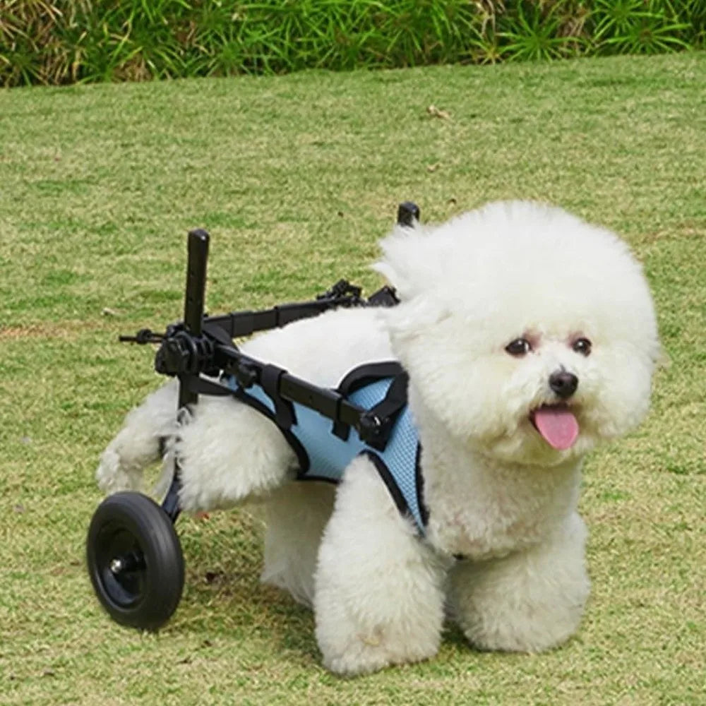 Adjustable Dog Wheelchair for Hind Leg Support & Rehabilitation