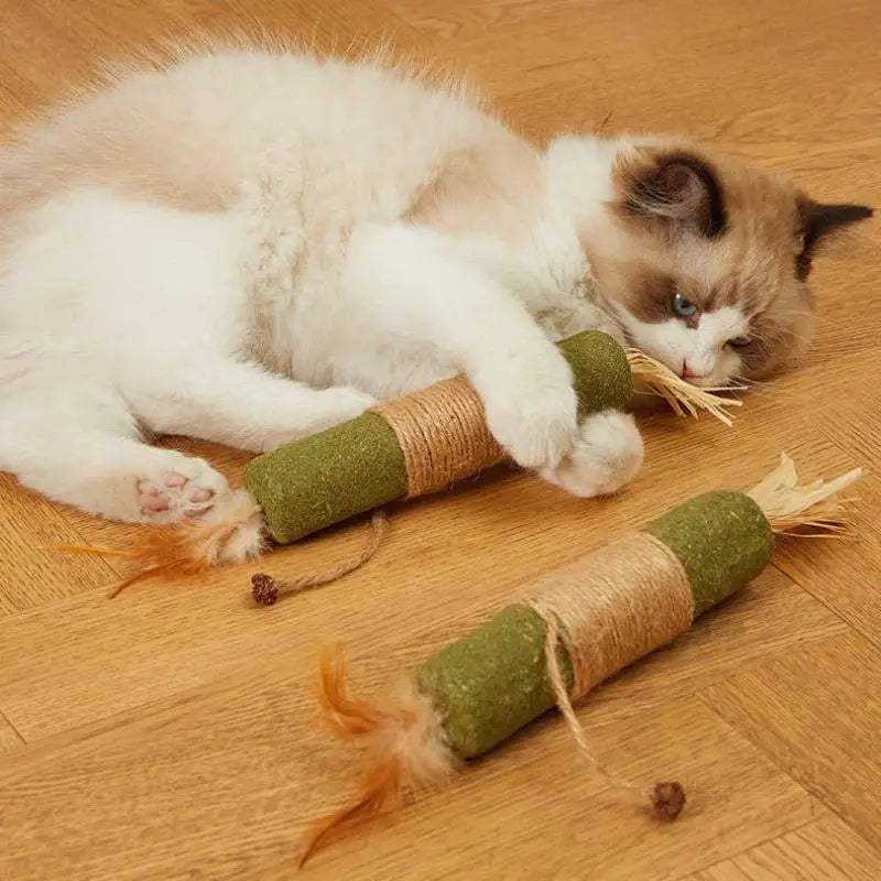 Natural Wood Knotweed Cat Teething Sticks — Sisal Rope & Raffia