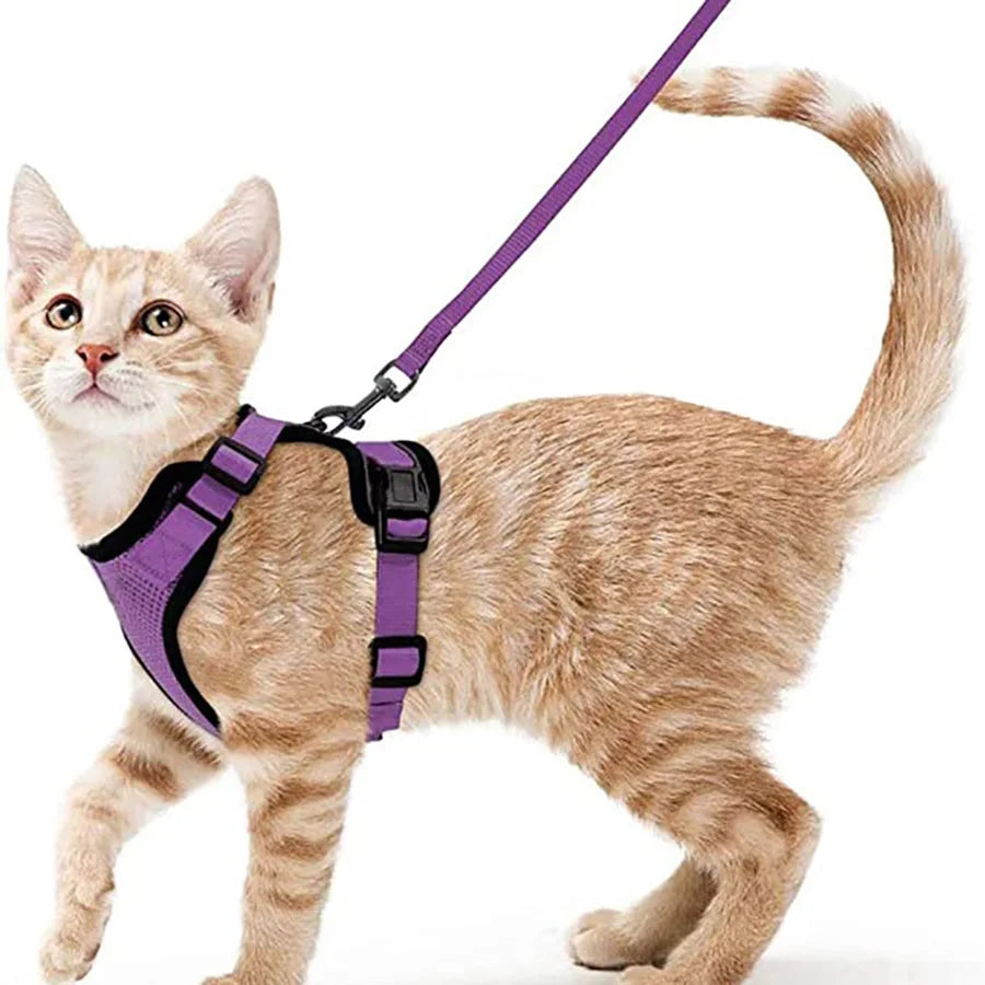 Anti-Escape Kitten Harness & Leash Set — Lightweight Breathable Vest