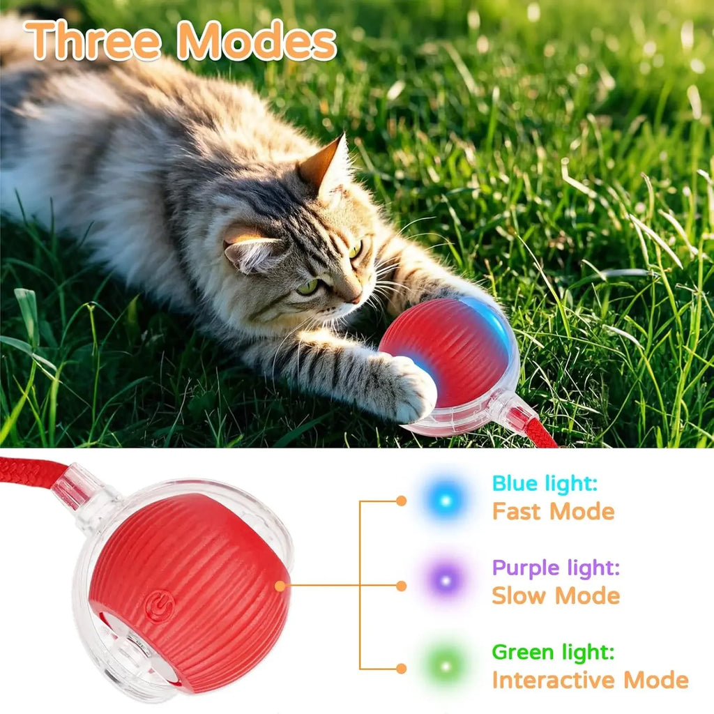 Mouse-Imitating Rolling Ball Cat Toy