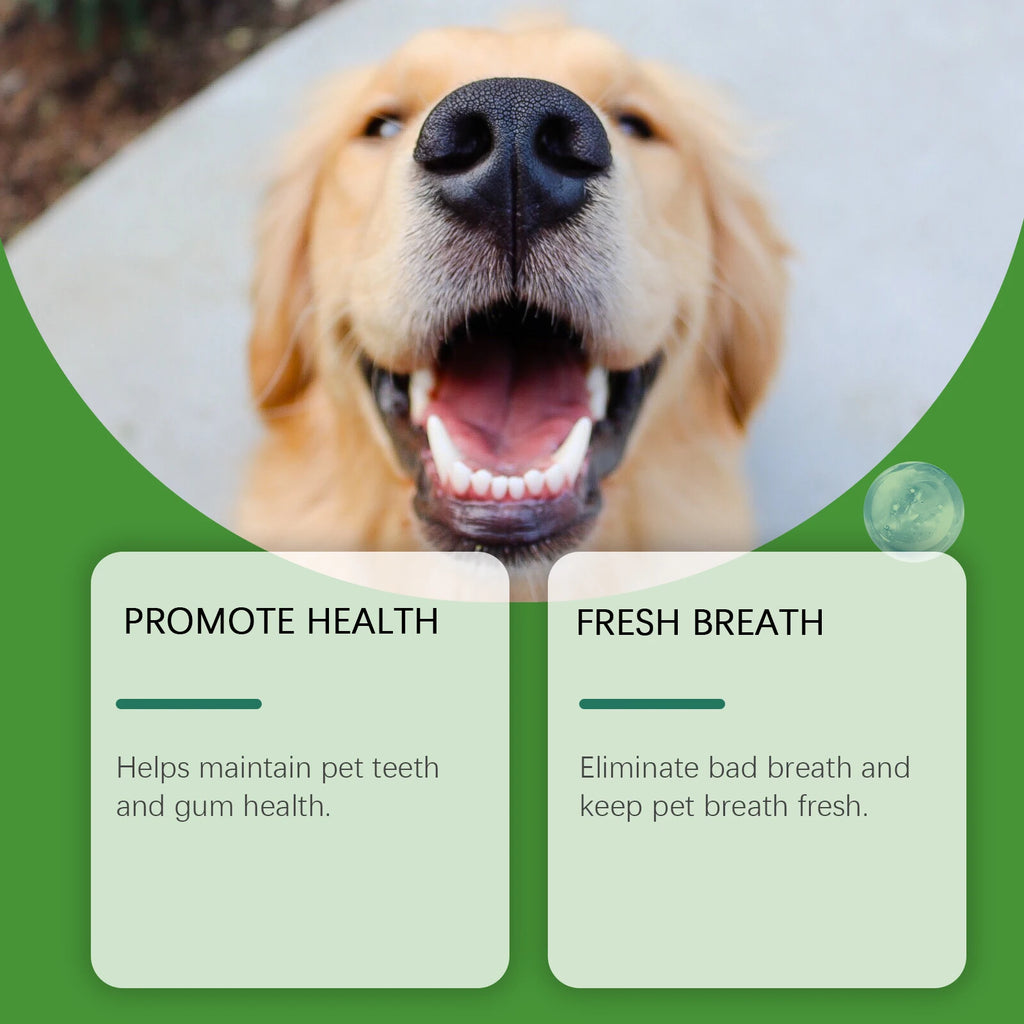 Dog & Cat Teeth Cleaning Powder — Removes Tartar, Stains & Bad Breath