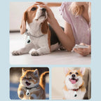 Bluetooth Pet GPS Tracker with Protective Case for Cats & Dogs - iOS & Android