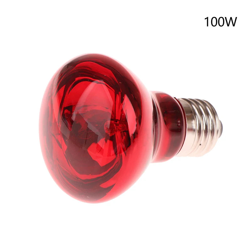 UVA Red Glow Reptile Heat Bulb — Day & Night E27 Basking Lamp, 25W–100W