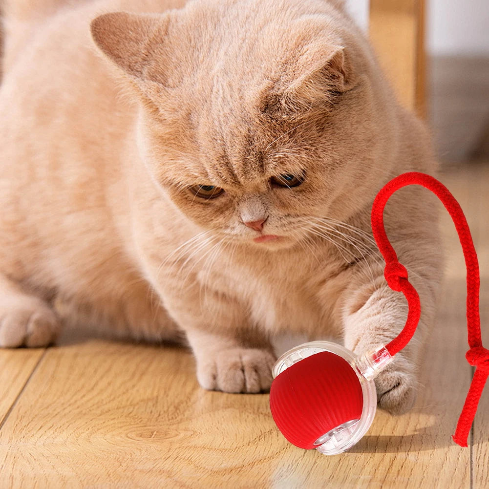 Auto Bouncing Ball Cat Toy — Rechargeable, Motion-Activated, 3 Modes