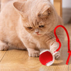 Auto Bouncing Ball Cat Toy — Rechargeable, Motion-Activated, 3 Modes