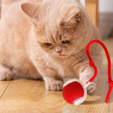 Auto Bouncing Ball Cat Toy — Rechargeable, Motion-Activated, 3 Modes