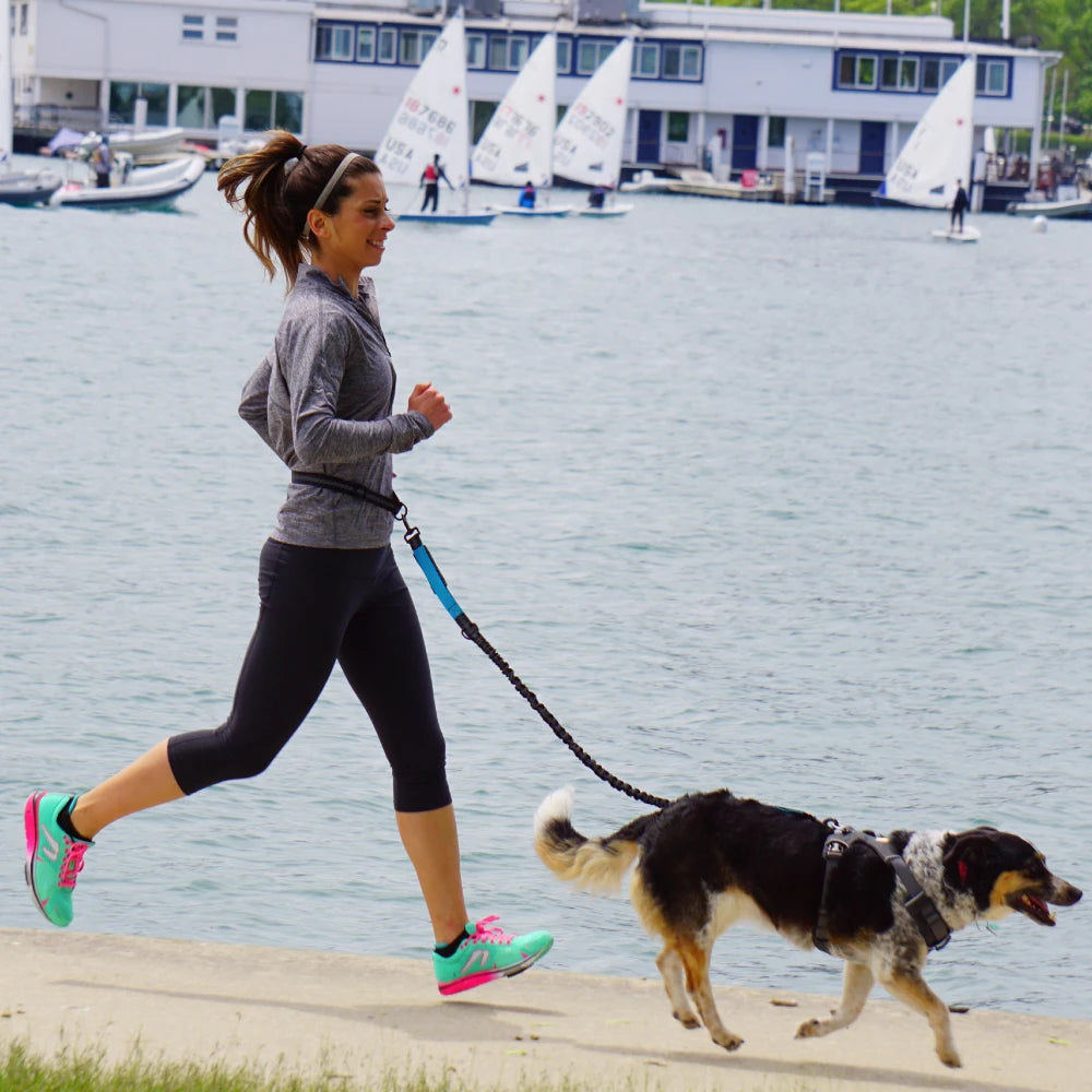 Hands-Free Running Dog Leash with Waist Belt