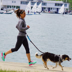 Hands-Free Running Dog Leash with Waist Belt