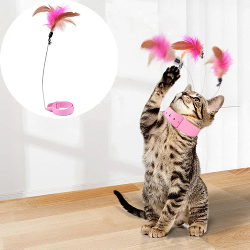 Feather Teaser Wand with Bell & Collar — Interactive Cat Training Set