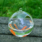 Hanging Glass Fish Bowl Vase (Round & Rectangle, Wall-Mounted)