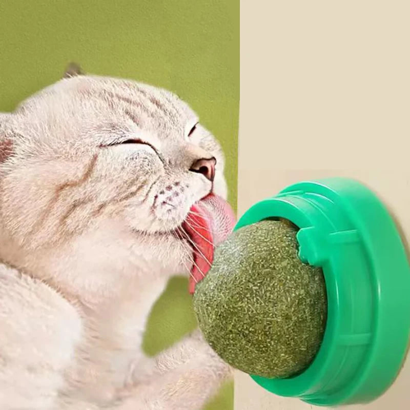 Catnip & Cat Grass Wall-Mount Lick Ball Toy — Stick-On Scratcher & Digestive Treat