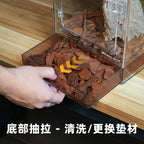 Front-Opening Acrylic Climbing Terrarium — For Tree Frogs, Geckos & Snakes