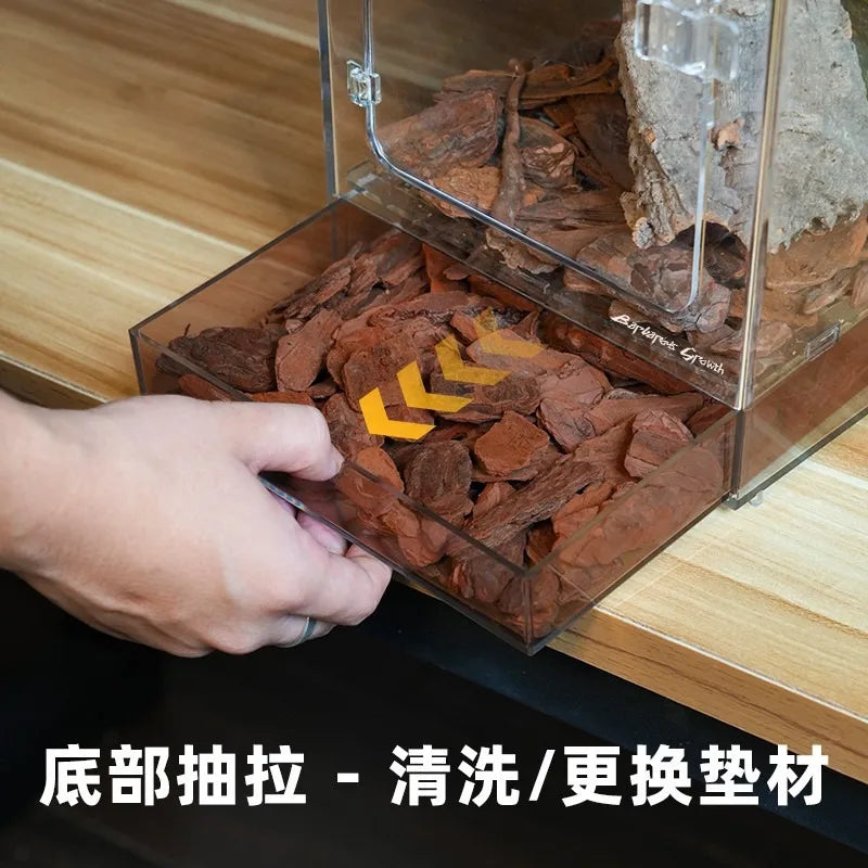 Front-Opening Acrylic Climbing Terrarium — For Tree Frogs, Geckos & Snakes