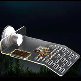 Turtle Basking Platform — Floating Dock Ramp for Aquarium Turtles