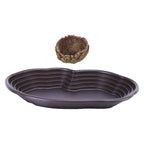 Reptile Bathing Pool & Water Dish Set — Ramp Design for Turtles & Tortoises
