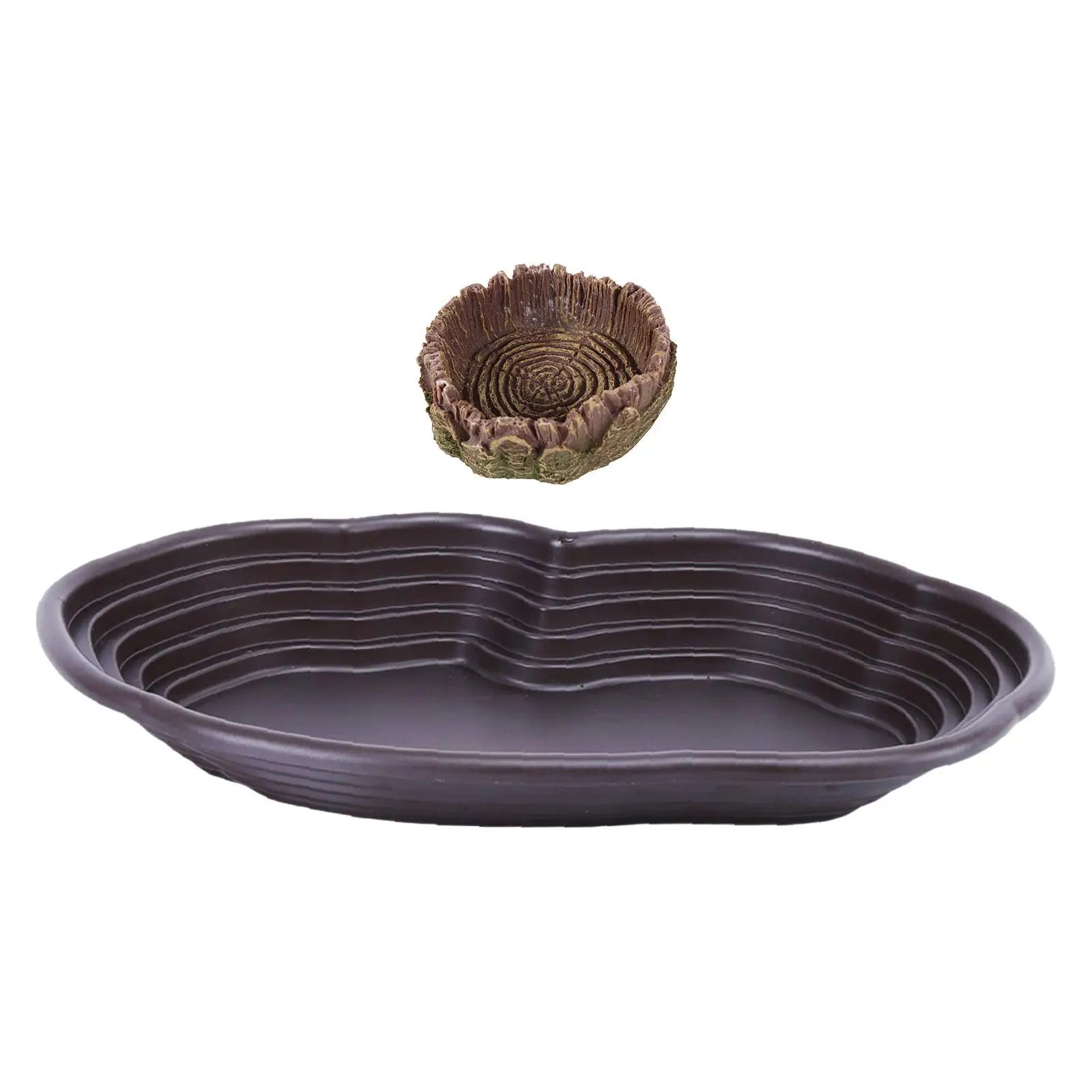 Reptile Bathing Pool & Water Dish Set — Ramp Design for Turtles & Tortoises