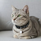 Quick-Release Safety Cat Collar — Cat Face Pendant & Bell