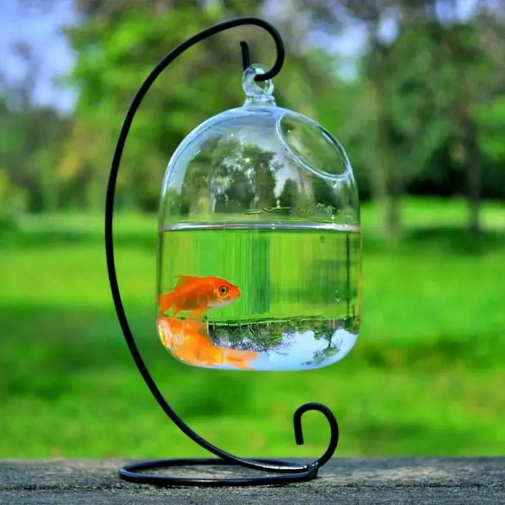 Hanging Glass Fish Bowl Vase (Round & Rectangle, Wall-Mounted)