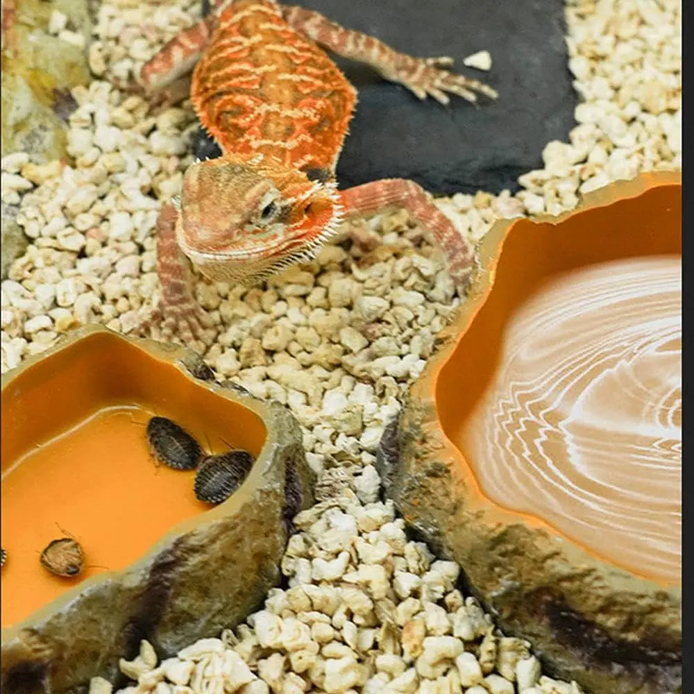 Resin Rock Food & Water Bowl for Reptiles — Naturalistic Terrarium Dish