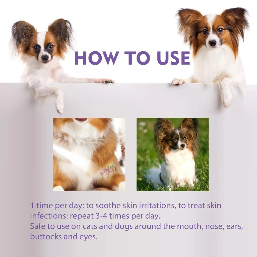 Pet Skin Relief Spray — Wound & Hair Regrowth Repair Serum, 60ml