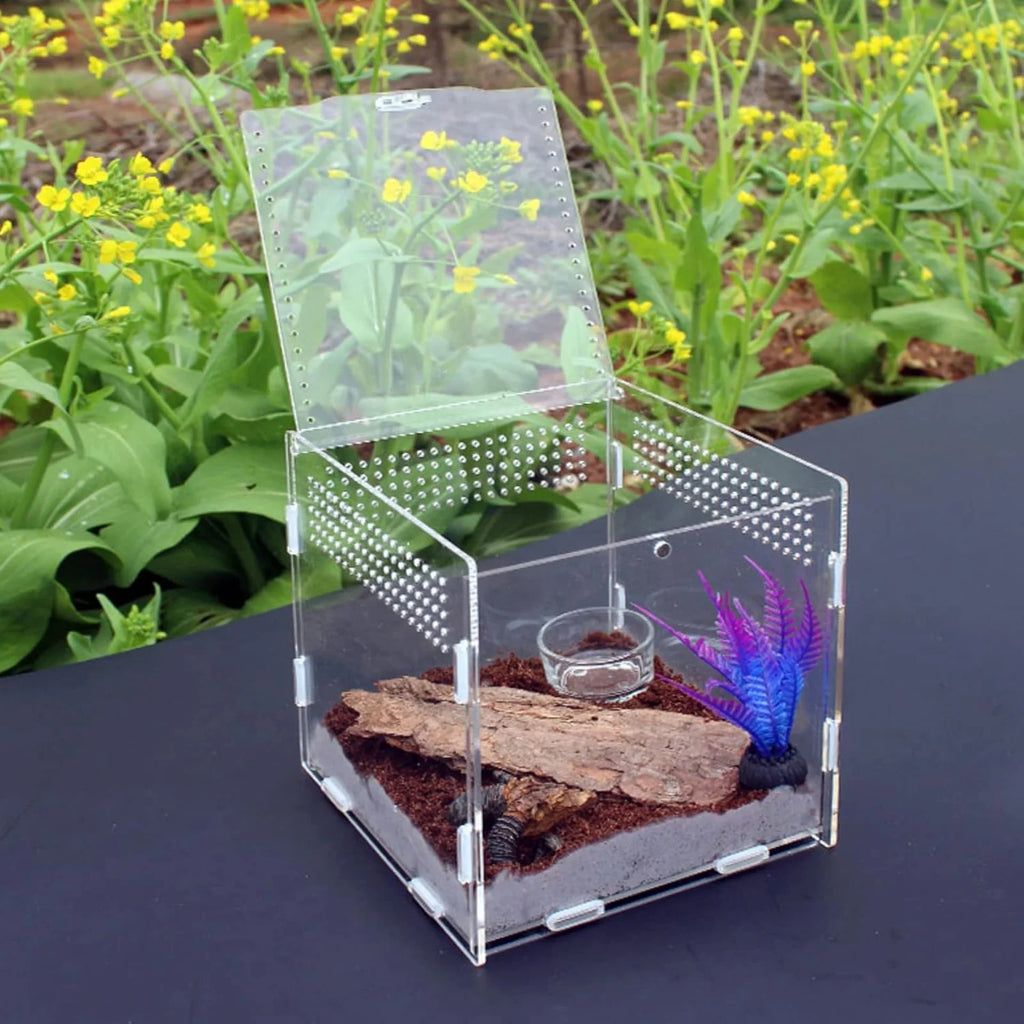 Stackable Acrylic Reptile Feeding Box — Buckle-Splicing Habitat for Small Pets