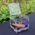 Stackable Acrylic Reptile Feeding Box — Buckle-Splicing Habitat for Small Pets