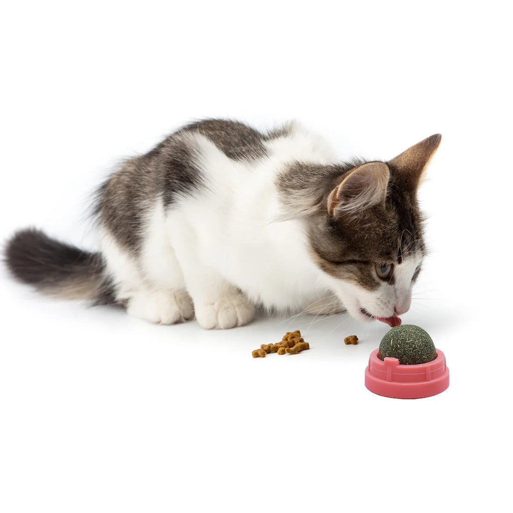 Catnip Wool Ball Cat Toys