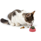Catnip Wool Ball Cat Toys