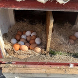 Coconut Fiber Nesting Box Liners — Fresh, Clean Egg-Laying Pads for Hens